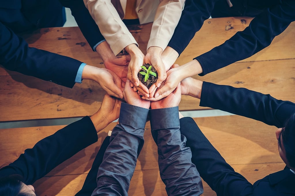Un grupo de personas vestidas con traje de negocios sostienen juntas una pequeña planta, símbolo del crecimiento, el trabajo en equipo y la sostenibilidad.