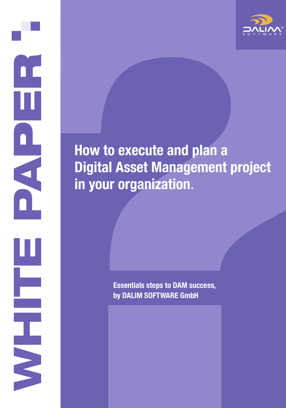 Whitepaper sobre DAM